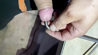 245 bdsm porn videos